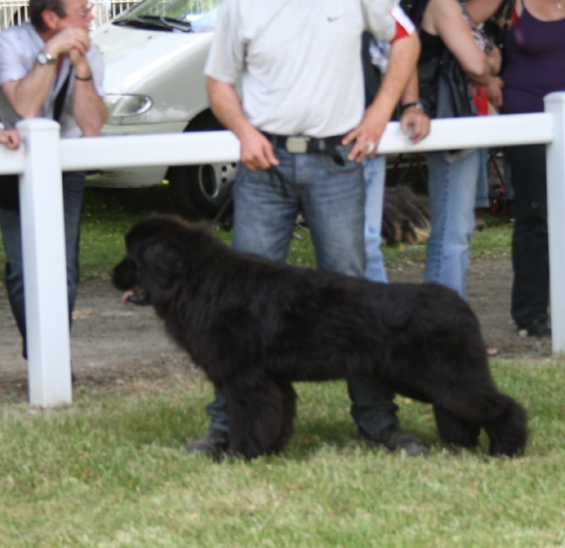 Fiesta de la plaine des geais